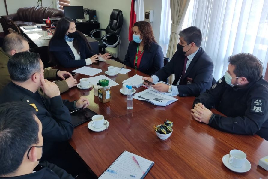Delegación Presidencial de Chiloé conforma mesa de trabajo para el control de armas