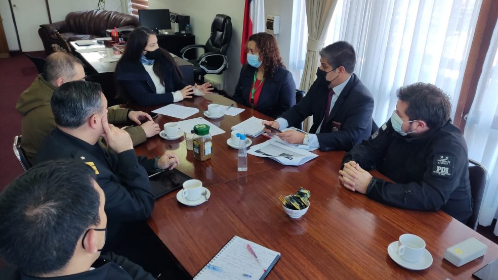 Delegación Presidencial de Chiloé conforma mesa de trabajo para el control de armas