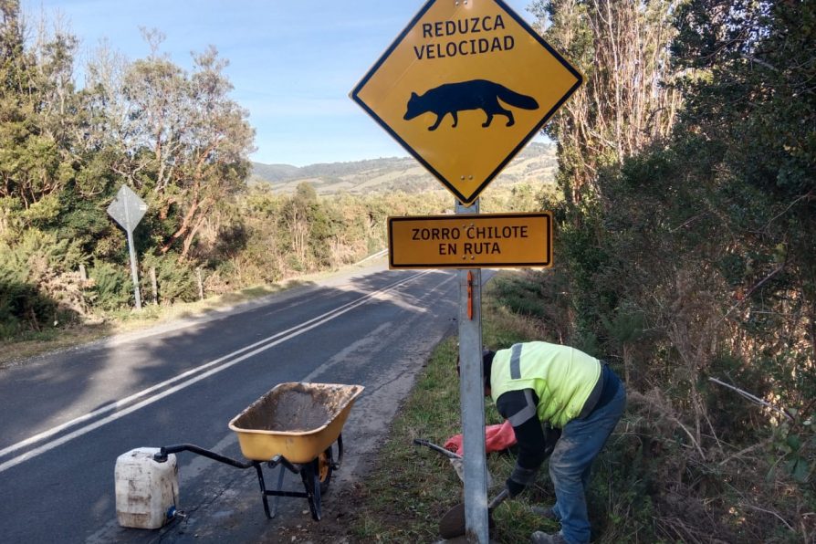 Avanzan compromisos de la mesa de protección de fauna silvestre