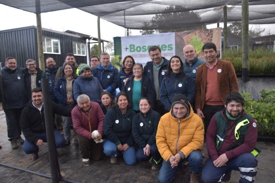 Inauguran Vivero Butalcura Más Bosques