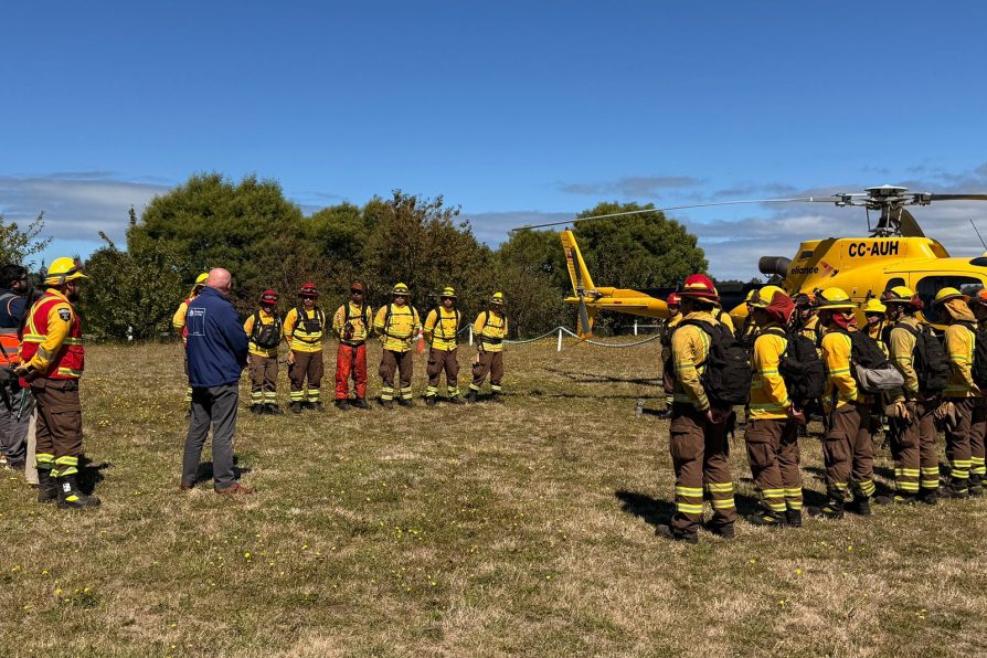 Reconocen labor de brigadas forestales en el Día del Brigadista en Chiloé