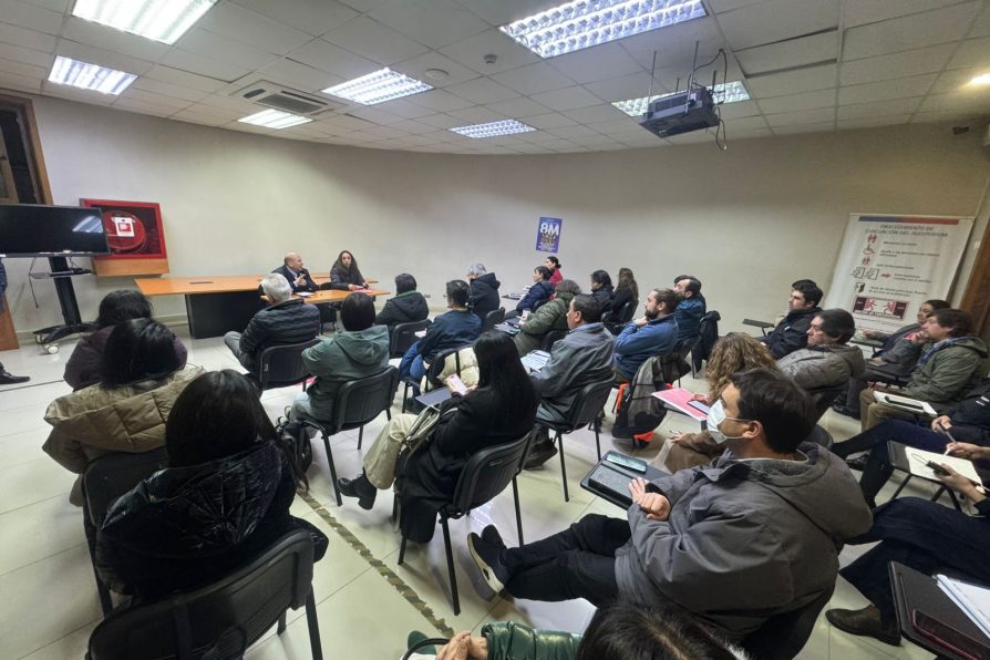 Delegación Presidencial Provincial de Chiloé encabezó primera reunión de gabinete provincial con servicios públicos
